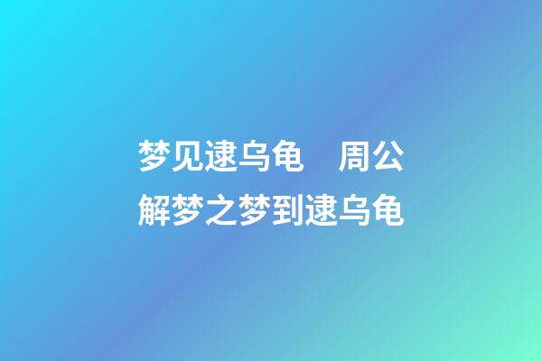 梦见逮乌龟　周公解梦之梦到逮乌龟